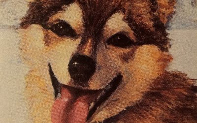 В снежном плену — история про собаку Куки